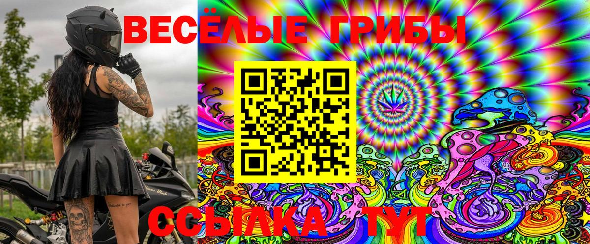 Богородицк  Галлюциногенные грибы Magic Shrooms  хочу наркоту  Вход с VPN 