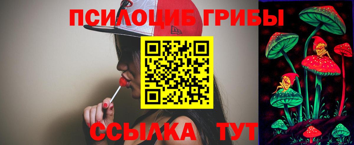 Псилоцибиновые грибы ЛСД Богородицк